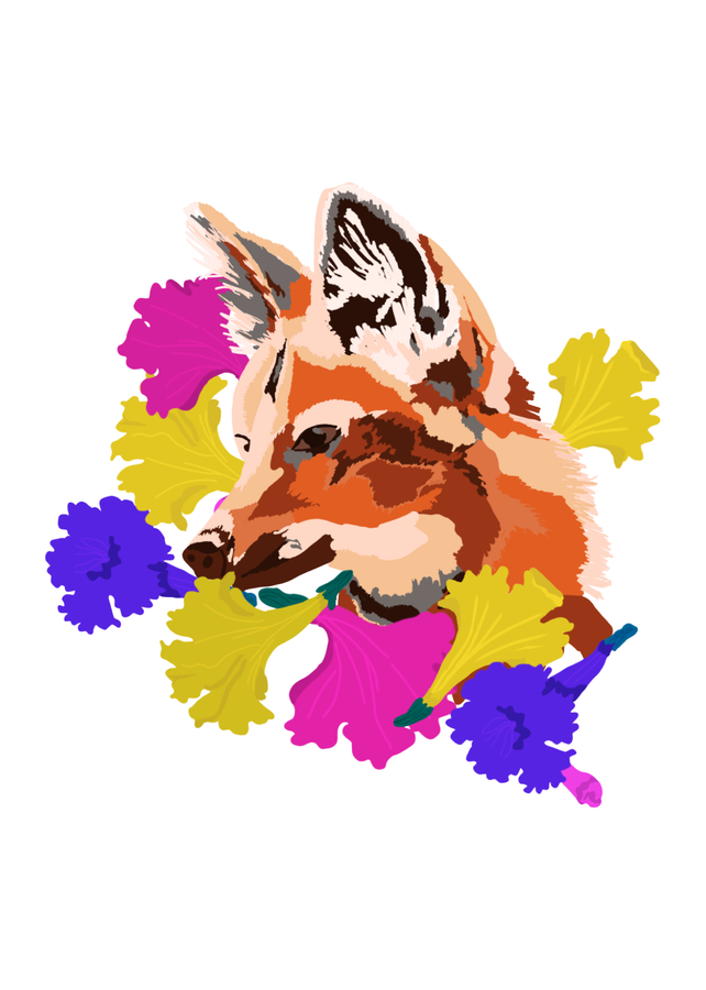 Lobo-guará com ipês