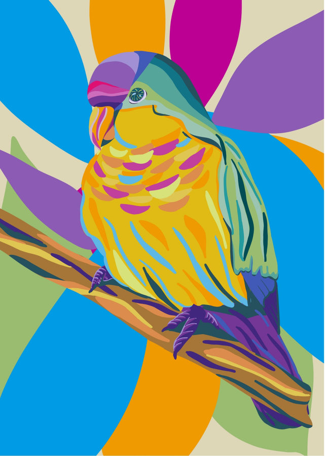 Cocota